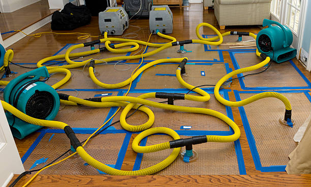 Professional Structural Drying And Dehumidification technician working in Bapchule, AZ